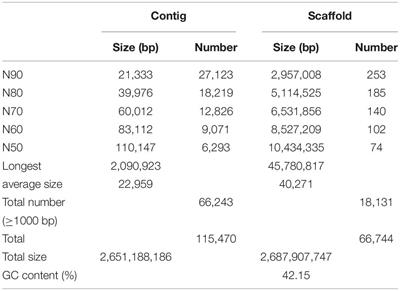 Draft Genome of the European Mouflon (Ovis orientalis musimon)